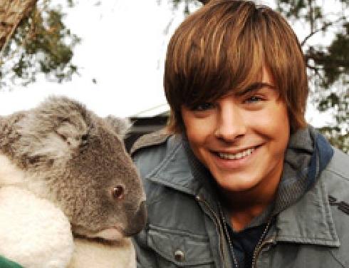 zac a koala.jpg